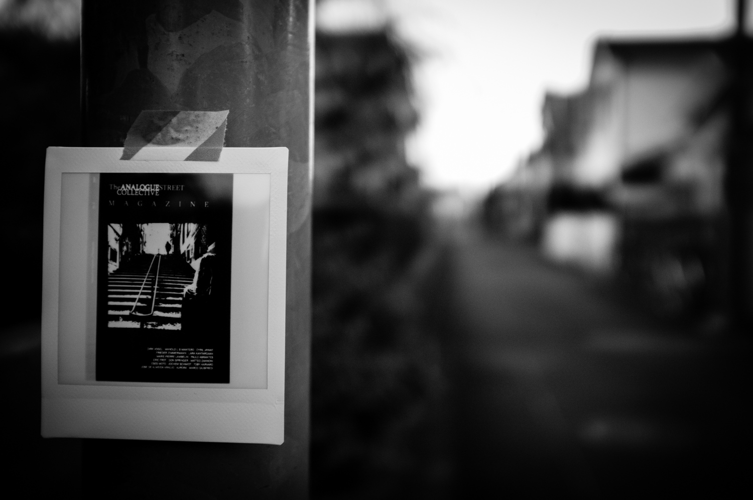 49186285996_2f9bb315dc_o