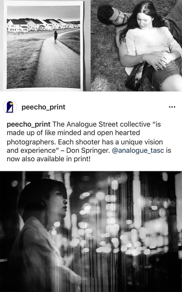 Peecho featured.1024